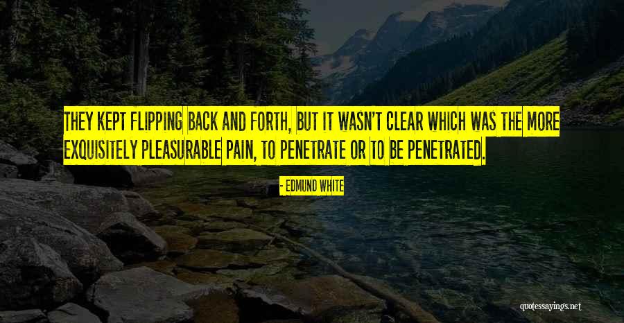 Pleasurable Pain Quotes By Edmund White