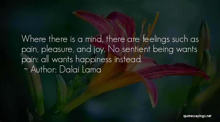 Pleasure And Happiness Quotes By Dalai Lama