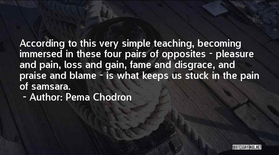 Pleasure In Simple Things Quotes By Pema Chodron