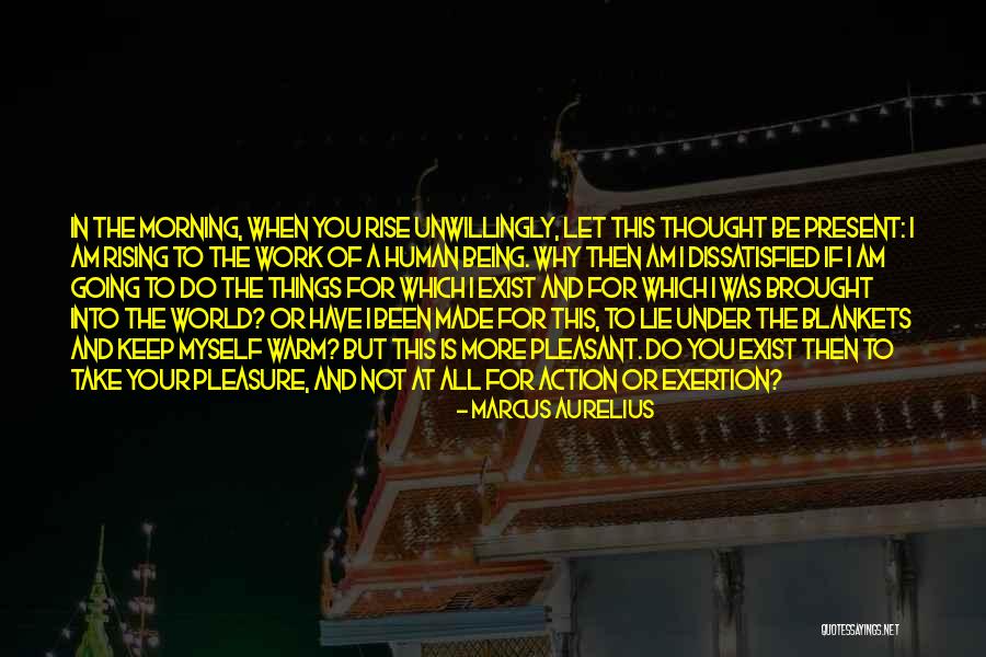 Pleasure In Work Quotes By Marcus Aurelius Pleasure In Work Quotes By Marcus Aurelius