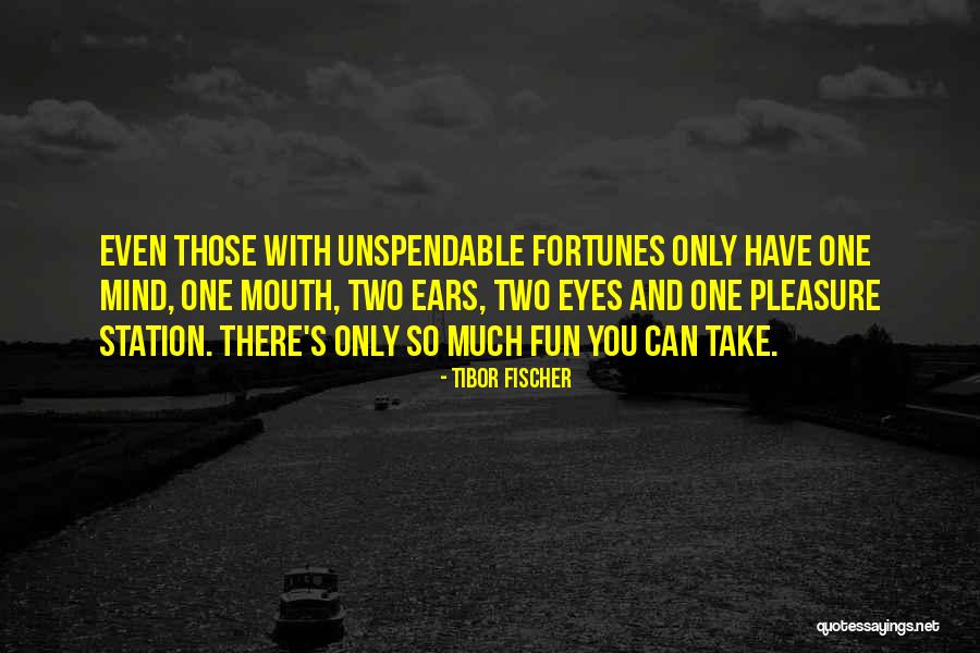 Pleasure Life Quotes By Tibor Fischer Pleasure Life Quotes By Tibor Fischer