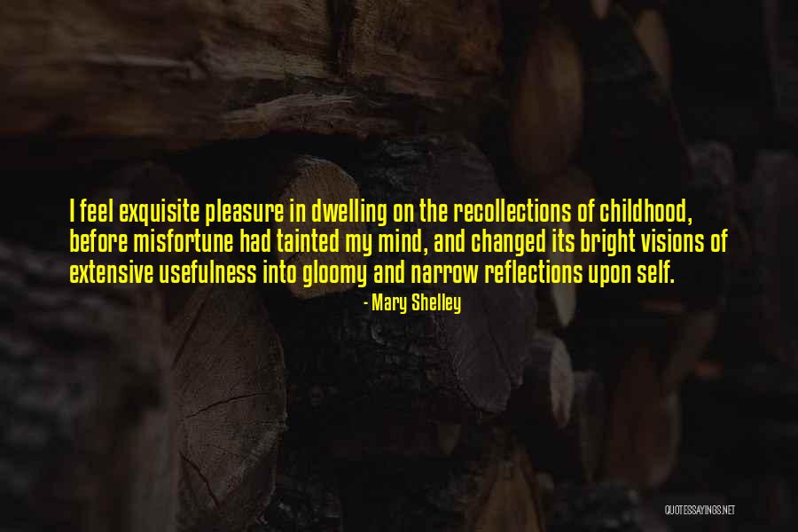 Pleasure Of Childhood Quotes By Mary Shelley Pleasure Of Childhood Quotes By Mary Shelley