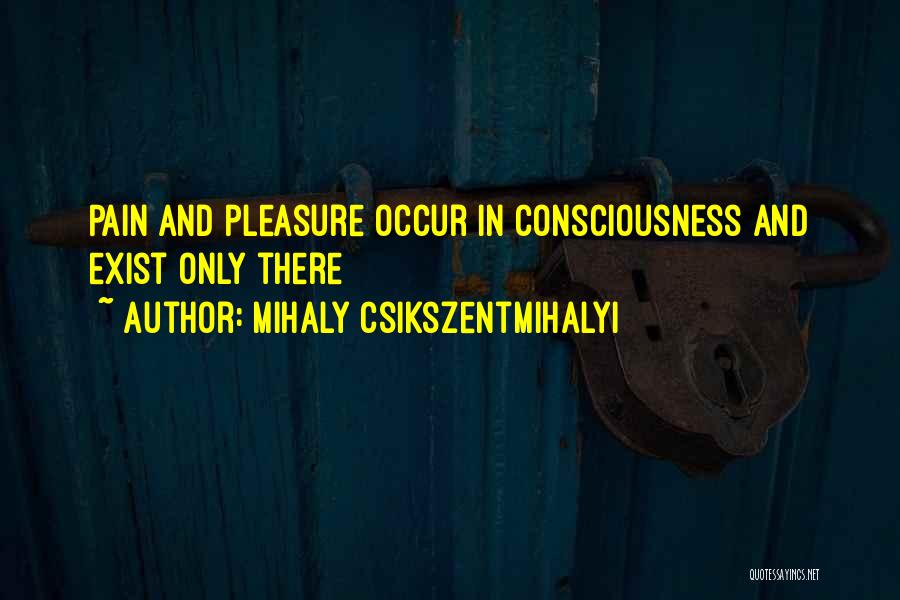 Pleasure P Quotes By Mihaly Csikszentmihalyi