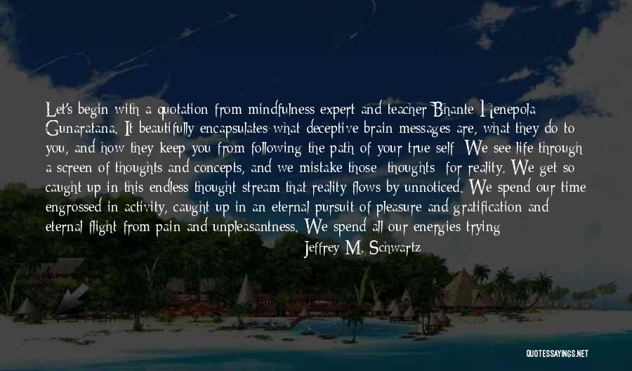 Pleasure Seeking Quotes By Jeffrey M. Schwartz Pleasure Seeking Quotes By Jeffrey M. Schwartz