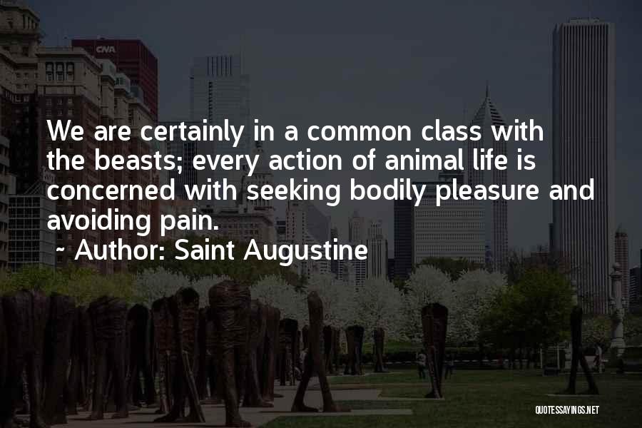 Pleasure Seeking Quotes By Saint Augustine