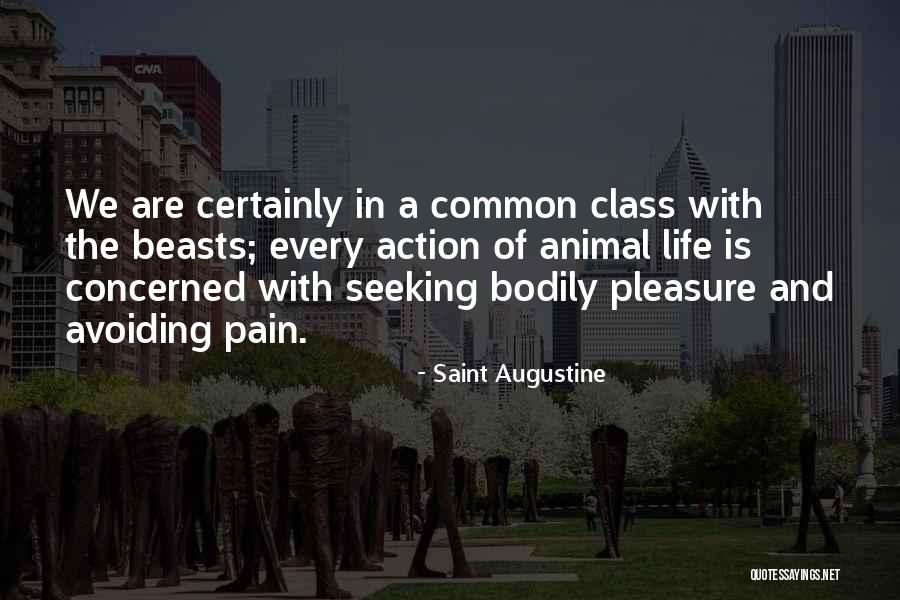 Pleasure Seeking Quotes By Saint Augustine