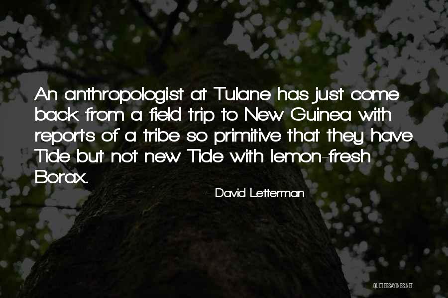 Plebeian Media Quotes By David Letterman Plebeian Media Quotes By David Letterman