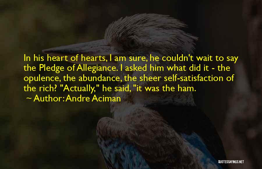 Pledge Of Allegiance Quotes By Andre Aciman