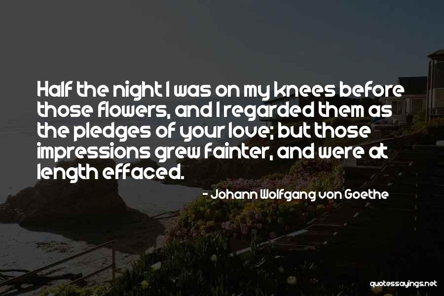 Pledges Quotes By Johann Wolfgang Von Goethe