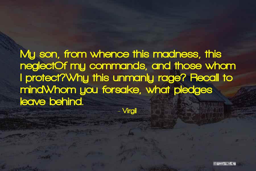 Pledges Quotes By Virgil