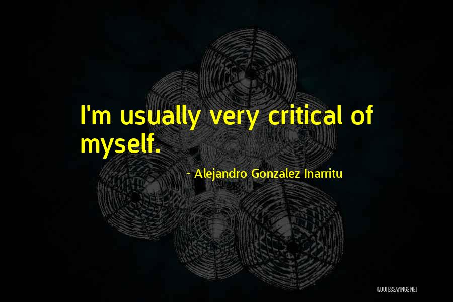 Plein Air Artists Quotes By Alejandro Gonzalez Inarritu Plein Air Artists Quotes By Alejandro Gonzalez Inarritu