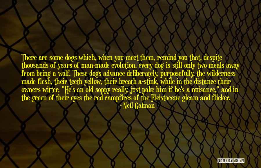 Pleistocene Animals Quotes By Neil Gaiman Pleistocene Animals Quotes By Neil Gaiman