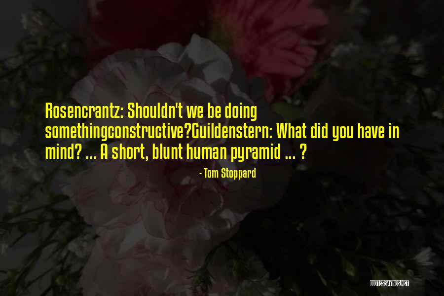 Plender Diaper Quotes By Tom Stoppard Plender Diaper Quotes By Tom Stoppard