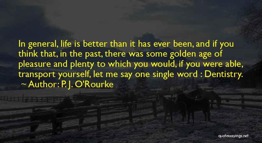 Plenty O'toole Quotes By P. J. O'Rourke