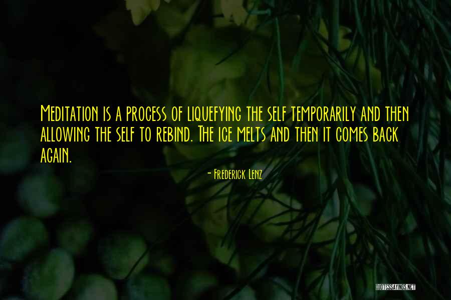 Plessas Book Quotes By Frederick Lenz Plessas Book Quotes By Frederick Lenz