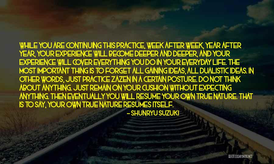 Plessinger Motocross Quotes By Shunryu Suzuki Plessinger Motocross Quotes By Shunryu Suzuki