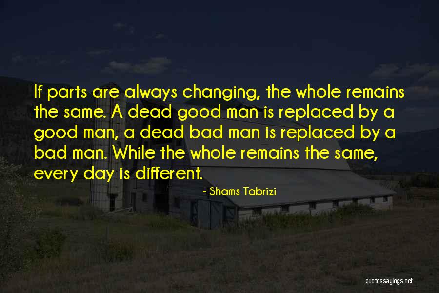 Plestin And Dame Quotes By Shams Tabrizi Plestin And Dame Quotes By Shams Tabrizi