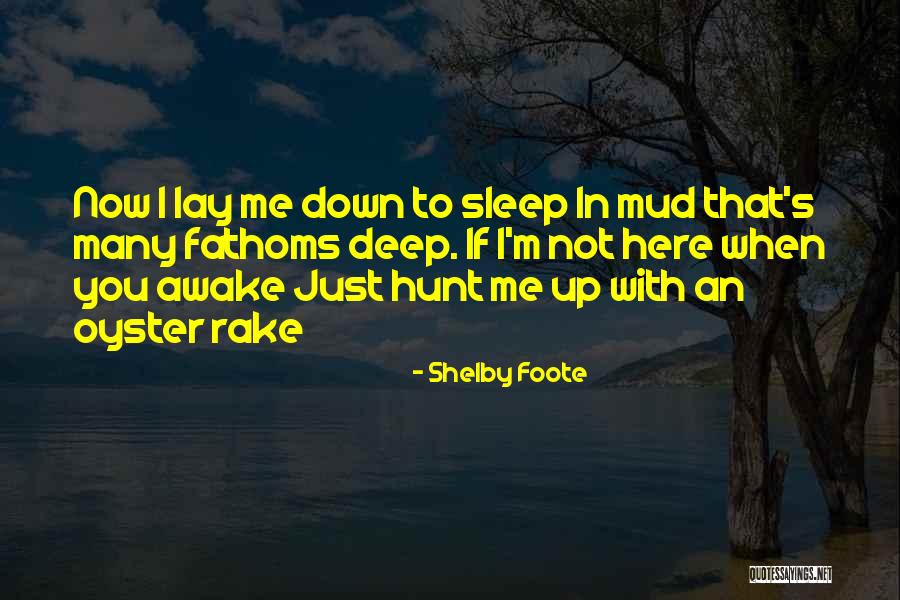 Pleuritis Symptoms Quotes By Shelby Foote Pleuritis Symptoms Quotes By Shelby Foote