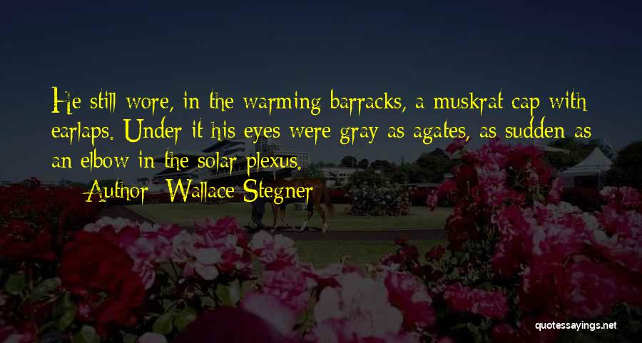 Plexus Quotes By Wallace Stegner