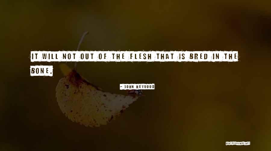 Pliftap Quotes By John Heywood Pliftap Quotes By John Heywood