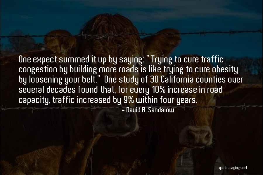 Plight In A Sentence Quotes By David B. Sandalow Plight In A Sentence Quotes By David B. Sandalow