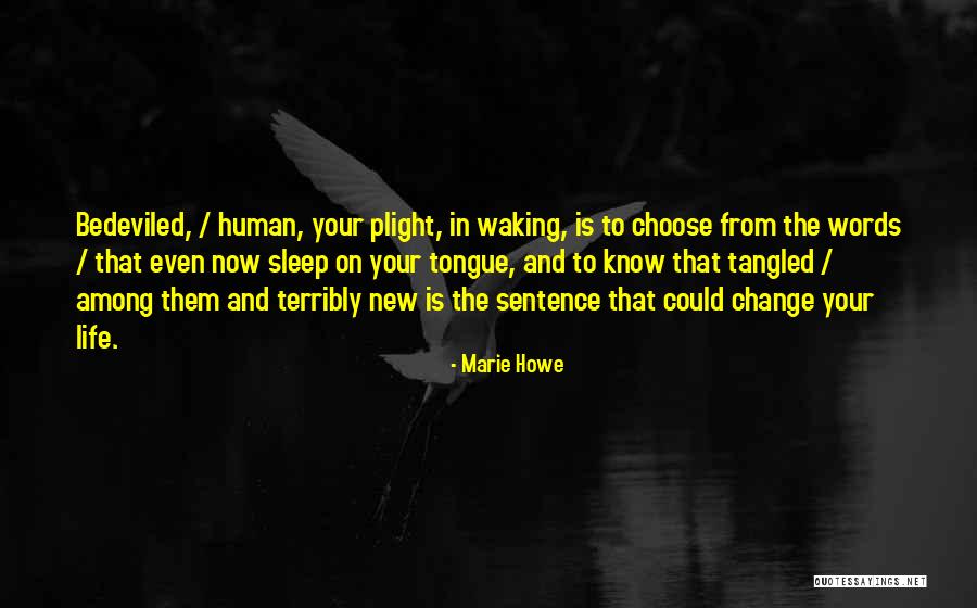 Plight In A Sentence Quotes By Marie Howe Plight In A Sentence Quotes By Marie Howe