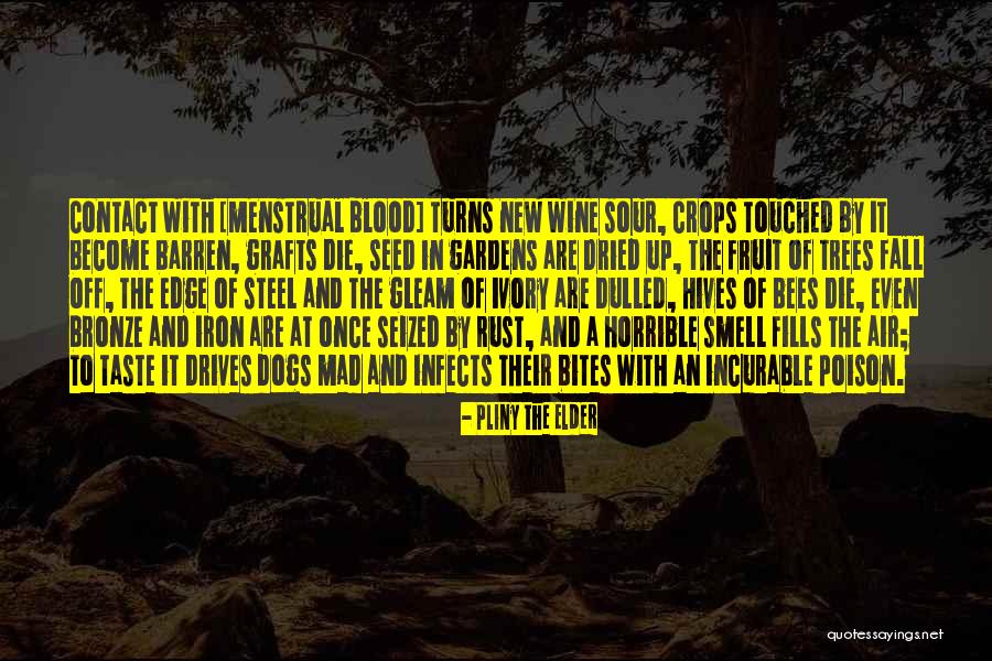 Pliny The Elder Quotes 1576768 Pliny The Elder Quotes 1576768