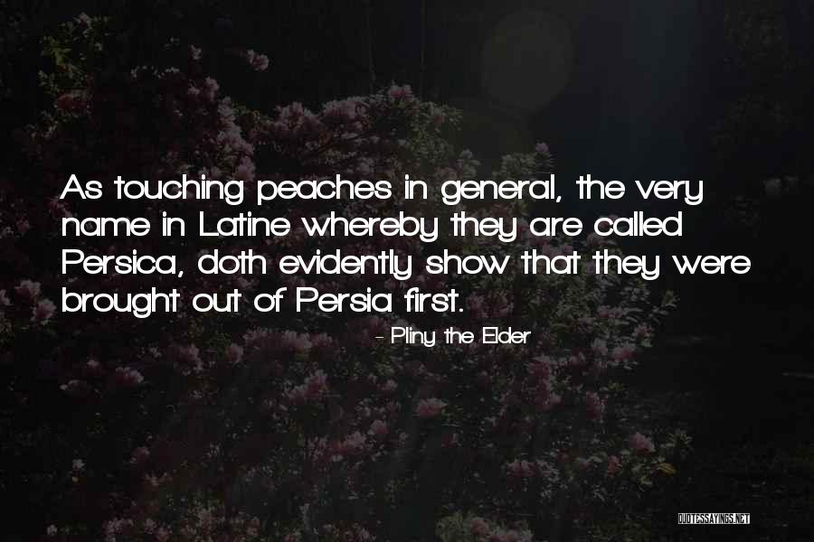 Pliny The Elder Quotes 1754029 Pliny The Elder Quotes 1754029