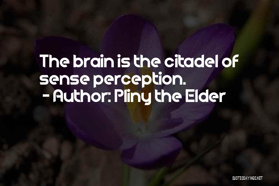 Pliny The Elder Quotes 2032269