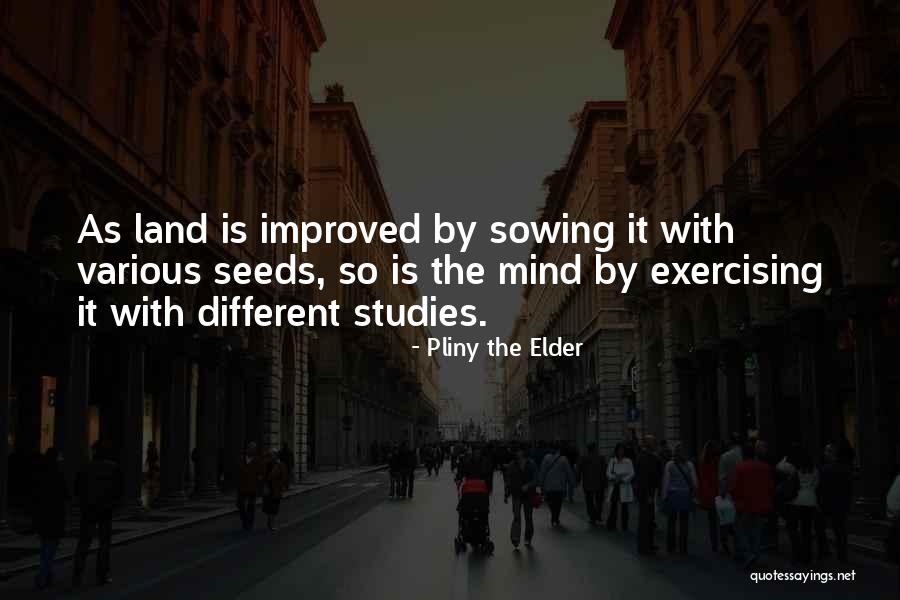 Pliny The Elder Quotes 447935 Pliny The Elder Quotes 447935