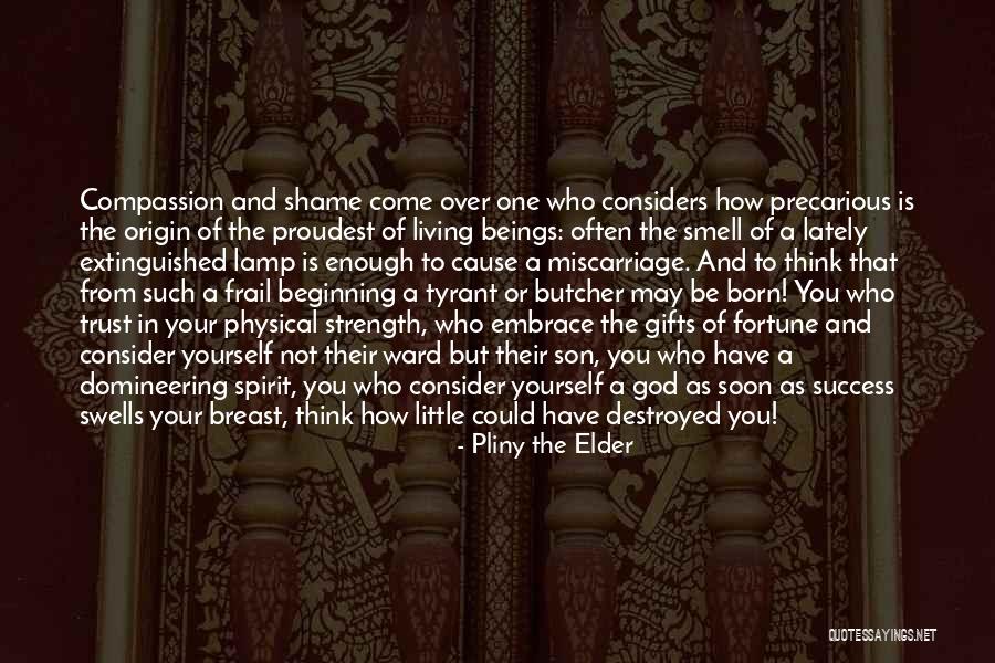 Pliny The Elder Quotes 474515 Pliny The Elder Quotes 474515