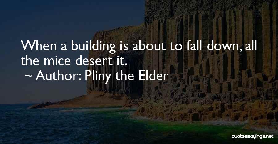 Pliny The Elder Quotes 479399