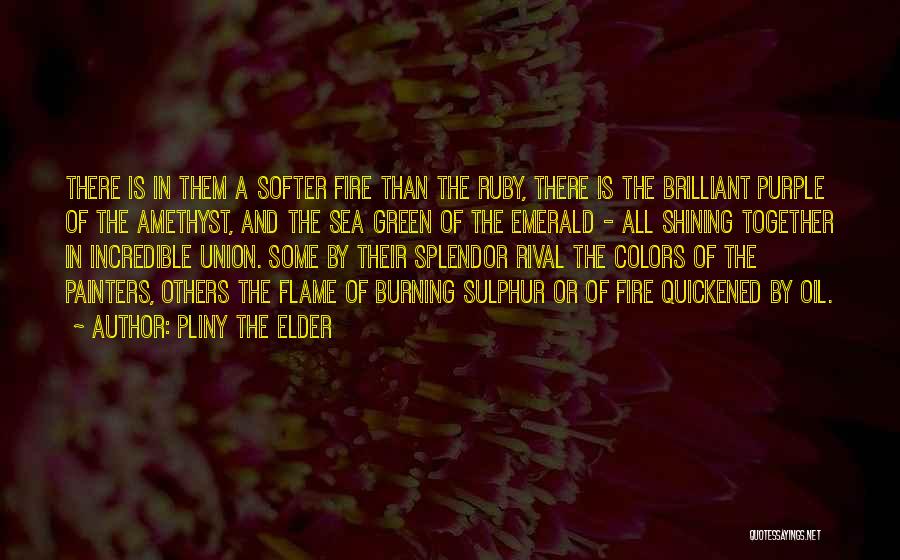 Pliny The Elder Quotes 608566