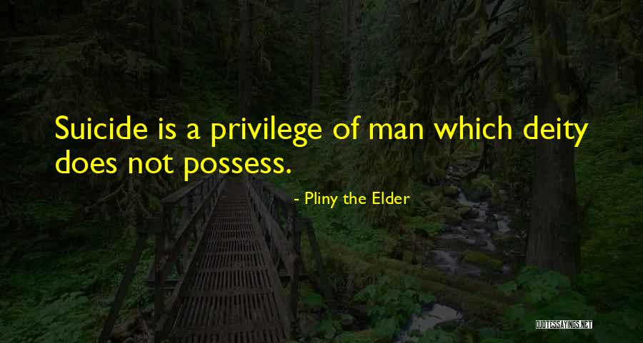 Pliny The Elder Quotes 806232