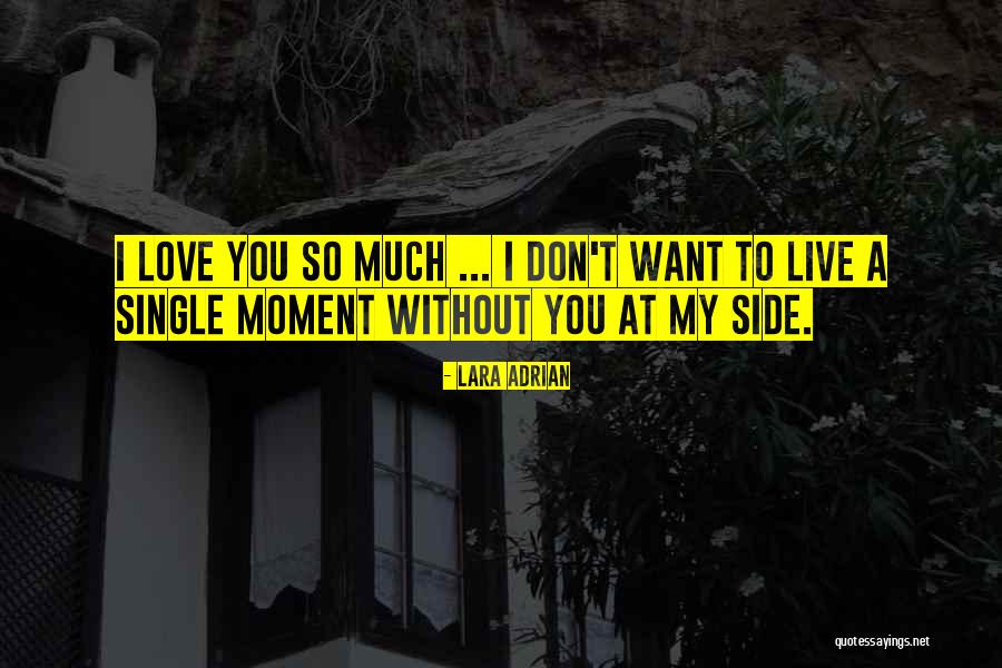 Pliskin Realty Quotes By Lara Adrian