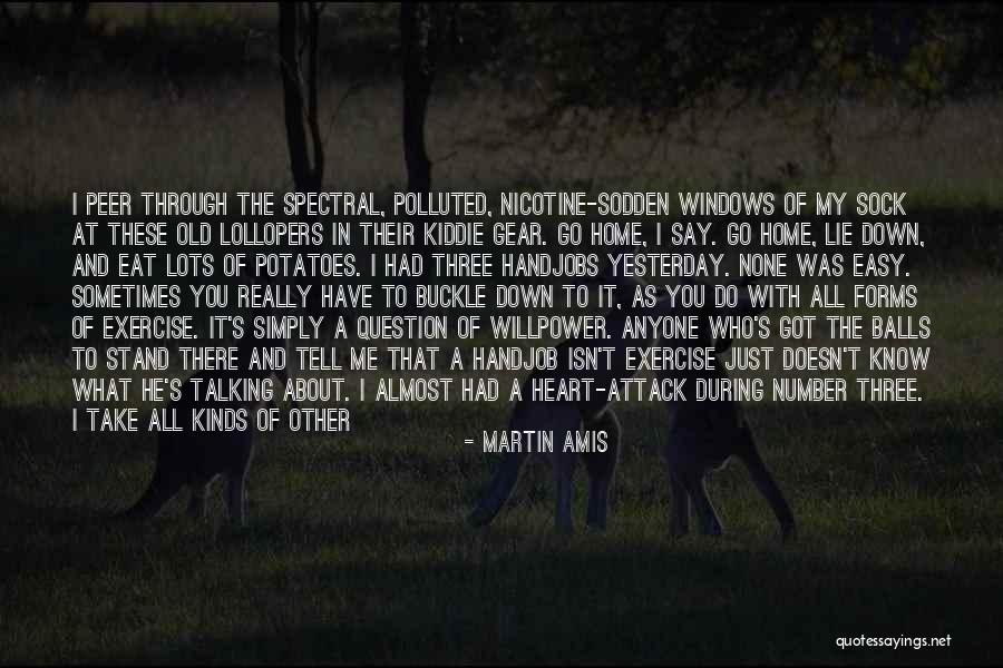 Plnovous Quotes By Martin Amis Plnovous Quotes By Martin Amis