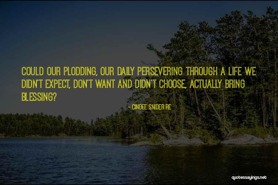 Plodding On Quotes By Cindee Snider Re