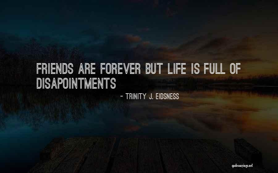 Plooien Hoedje Quotes By Trinity J. Eidsness Plooien Hoedje Quotes By Trinity J. Eidsness