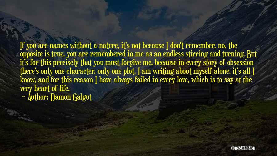 Plot Writing Quotes By Damon Galgut