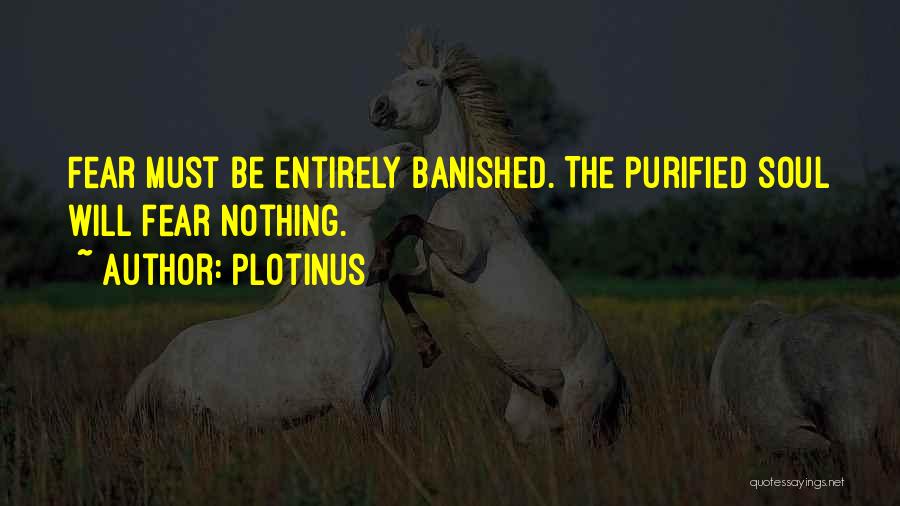 Plotinus Quotes 1740059