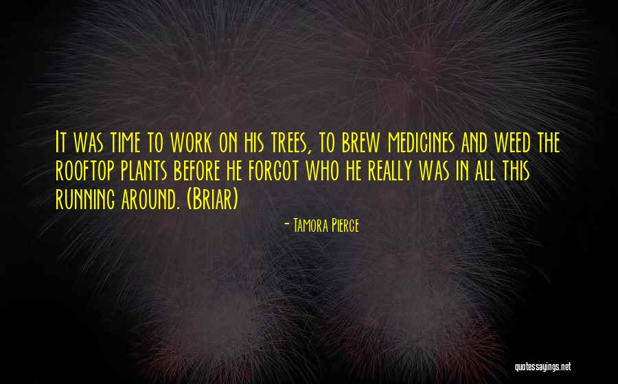 Plout Fire Quotes By Tamora Pierce Plout Fire Quotes By Tamora Pierce