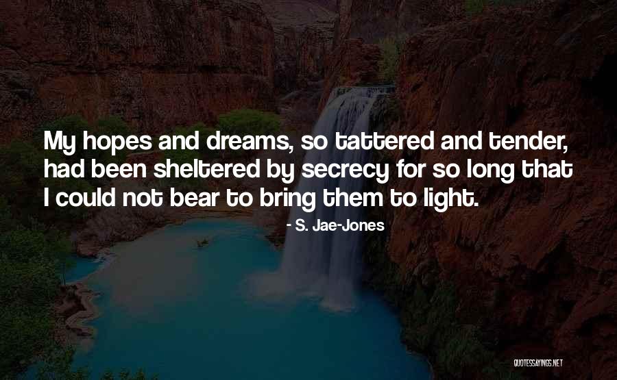 Plovers In Florida Quotes By S. Jae-Jones Plovers In Florida Quotes By S. Jae-Jones