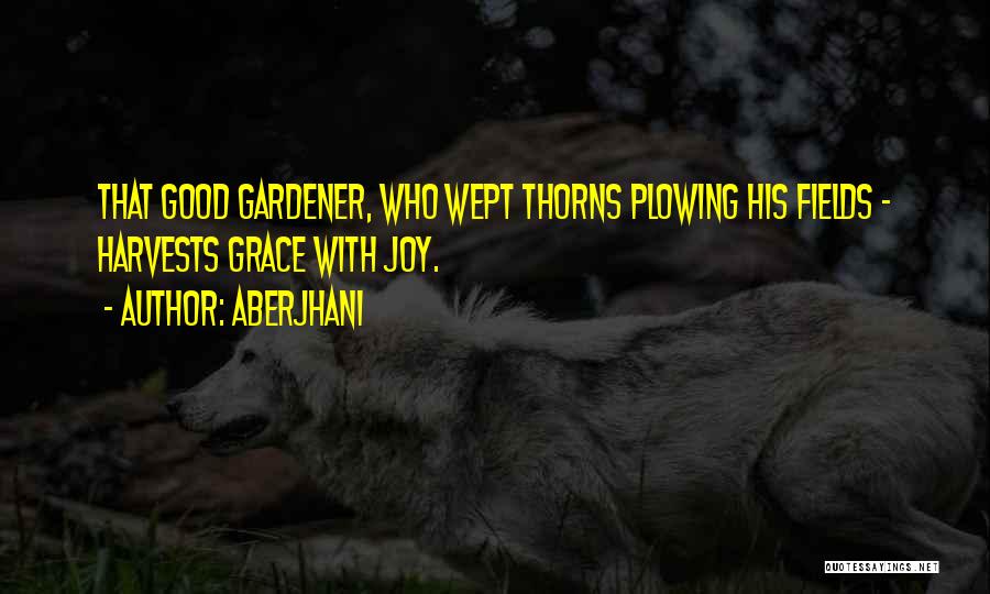 Plowing Fields Quotes By Aberjhani