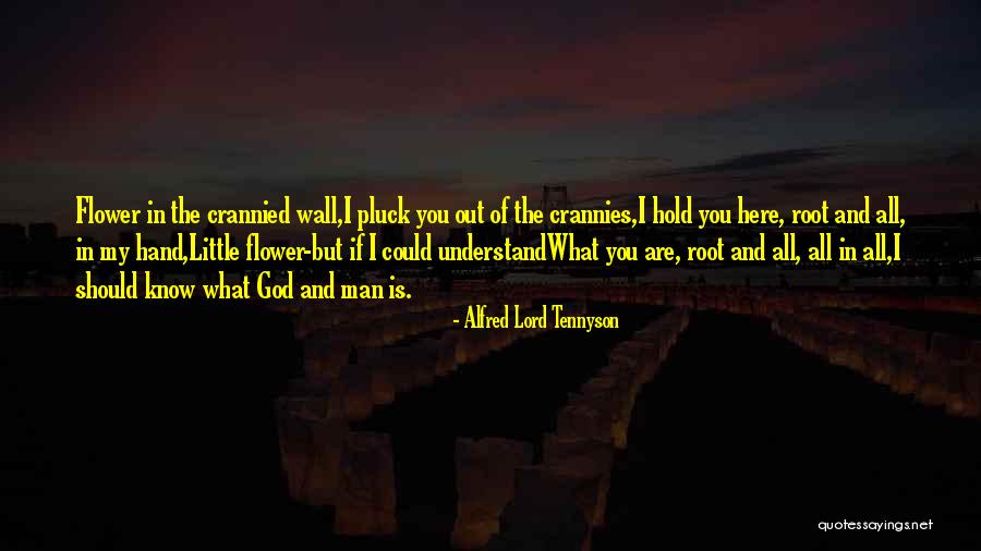 Pluck Flower Quotes By Alfred Lord Tennyson Pluck Flower Quotes By Alfred Lord Tennyson