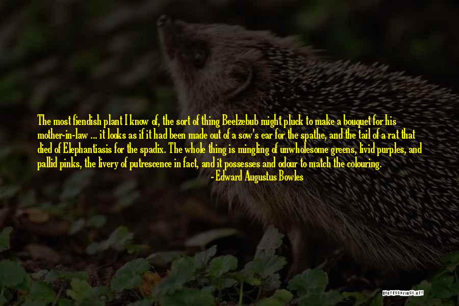 Pluck Flower Quotes By Edward Augustus Bowles Pluck Flower Quotes By Edward Augustus Bowles