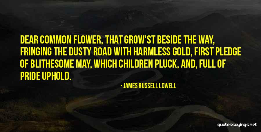 Pluck Flower Quotes By James Russell Lowell Pluck Flower Quotes By James Russell Lowell