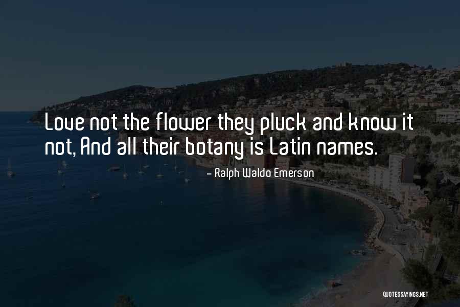 Pluck Flower Quotes By Ralph Waldo Emerson Pluck Flower Quotes By Ralph Waldo Emerson
