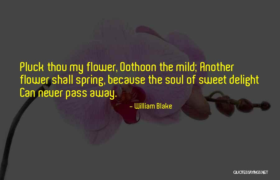 Pluck Flower Quotes By William Blake Pluck Flower Quotes By William Blake