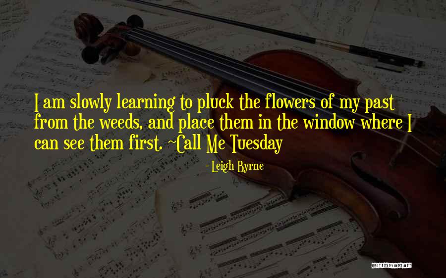 Pluck Flowers Quotes By Leigh Byrne