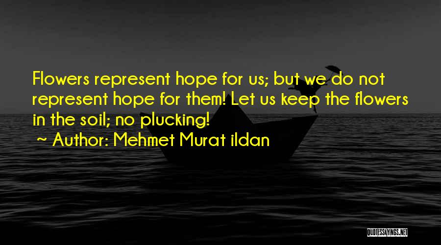 Plucking Quotes By Mehmet Murat Ildan